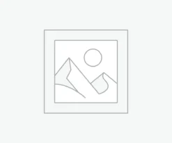 Uncategorized